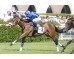  Carrera: P.Jose Antonio Borrego Monta: F.Martínez Caballo: Gelinotte